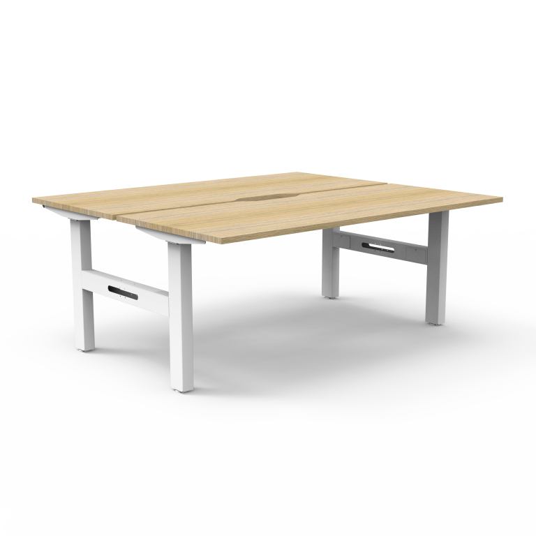 Boost Static Back to Back Workstation