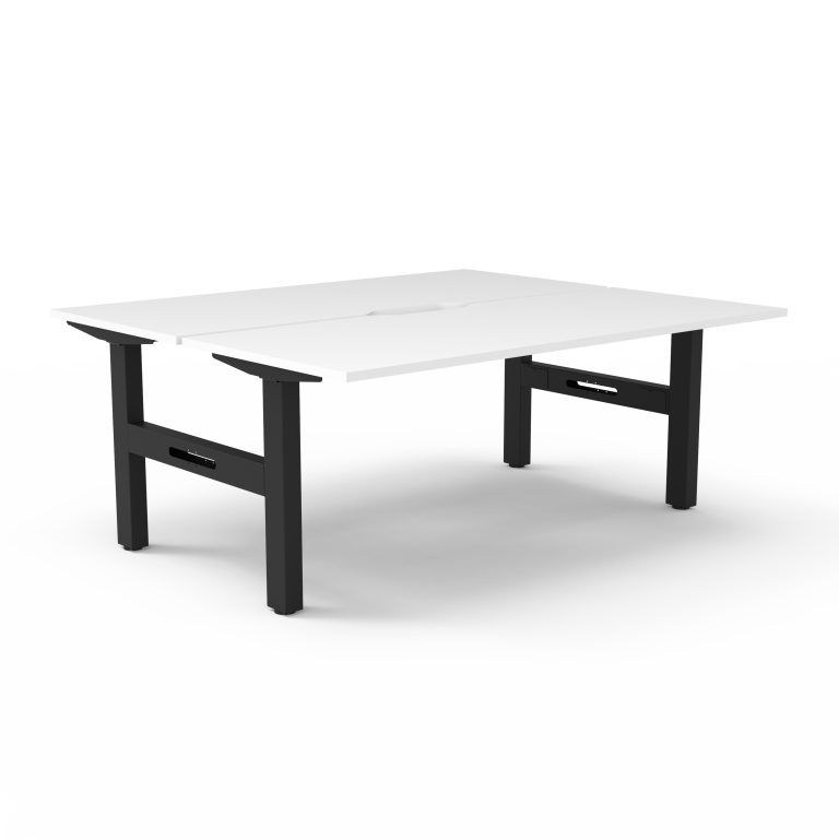 Boost Static Back to Back Workstation