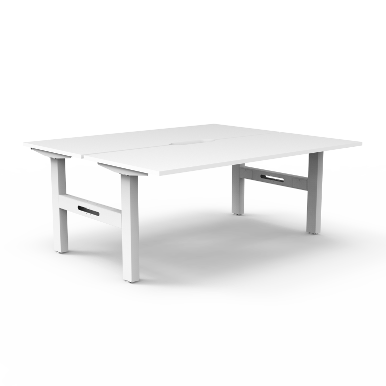 Boost Static Back to Back Workstation