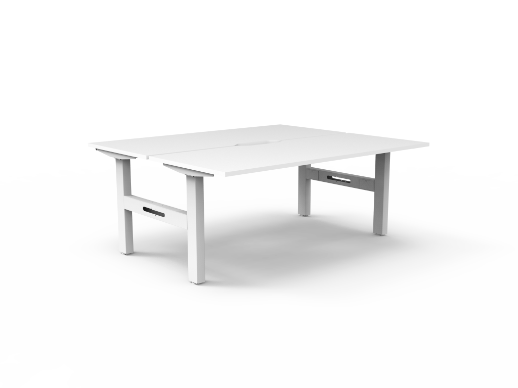 Boost Static Back to Back Workstation